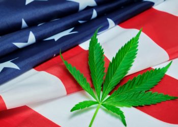 Security Clearance Can’t Be Denied for Intelligence Agency Employees, According to Senate Committee