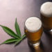 Minnesota Breweries See Benefits From State’s Cannabis Law