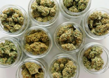 New Illinois Budget Includes Provisions for Cannabis Businesses