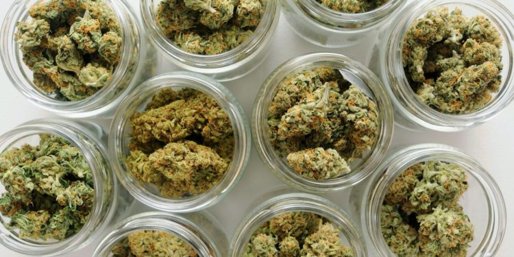 New Illinois Budget Includes Provisions for Cannabis Businesses