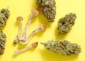 Researchers Aim To Combine Psilocybin and Cannabis Into Single Medical Treatment