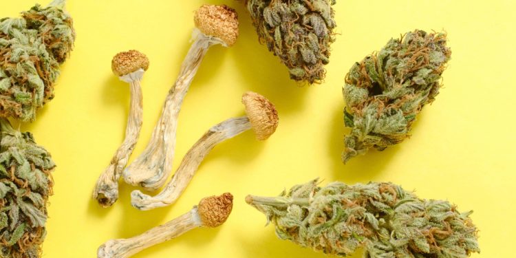 Researchers Aim To Combine Psilocybin and Cannabis Into Single Medical Treatment