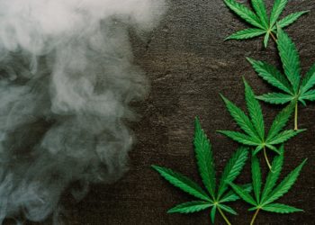 Wisconsin Supreme Court Rules Cannabis Odor Enough To Justify Search