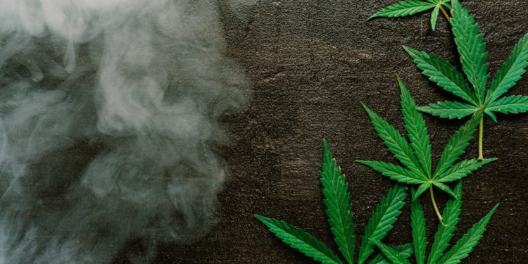 Wisconsin Supreme Court Rules Cannabis Odor Enough To Justify Search