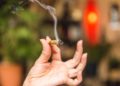 Study: Pot Use Linked With Lower Risk of Liver Disease