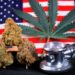 Senate Committee Approves Bill Allowing VA To Recommend Pot to Veterans in Legal States