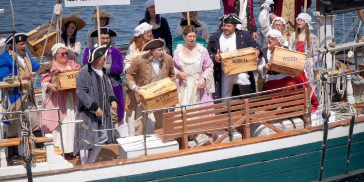 Executives Re-Enact Boston Tea Party To Protest Cannabis Tax Rule