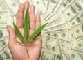 New York Town Owes Nearly $200,000 After Firing Medical Cannabis Patient
