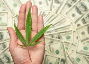 New York Town Owes Nearly $200,000 After Firing Medical Cannabis Patient