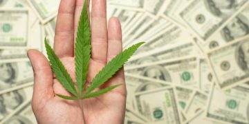 New York Town Owes Nearly $200,000 After Firing Medical Cannabis Patient