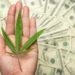 New York Town Owes Nearly $200,000 After Firing Medical Cannabis Patient