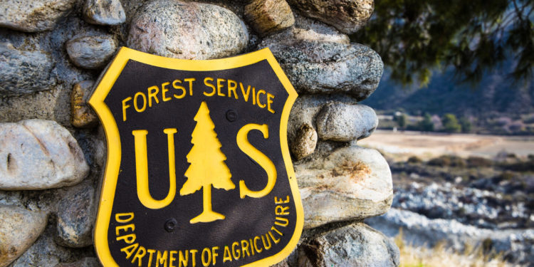 U.S. Forest Service Reminds Employees That They Are Still Subject to Federal Law