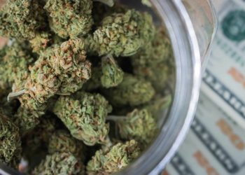 Only 24.4% of Cannabis Operators Profitable Due to 280E, Other Challenges
