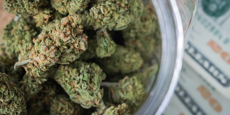 Only 24.4% of Cannabis Operators Profitable Due to 280E, Other Challenges