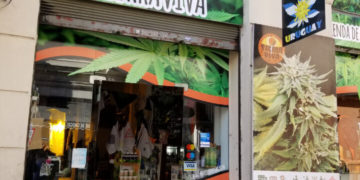 Uruguay’s Historic Legalization: Six Years, And More Than 10 Million Grams Later