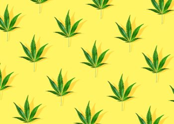 Lawmakers Introduce Bipartisan CBD Regulation Bill