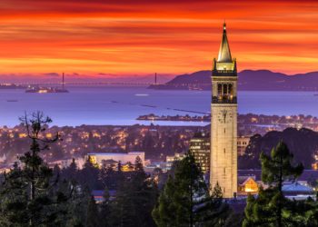 Berkeley Decriminalizes Psilocybin, Ayahuasca