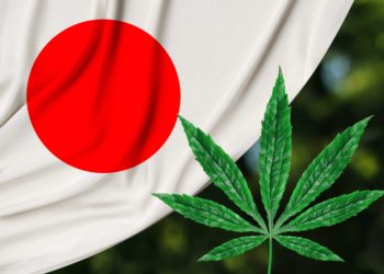 Cannabeginners: How To Legally Use Cannabis In Japan