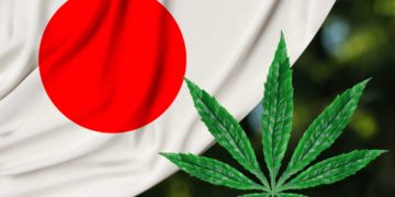 Cannabeginners: How To Legally Use Cannabis In Japan