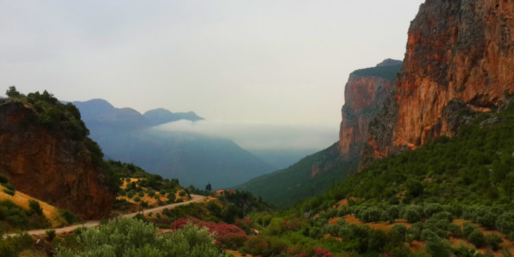 Black Market Thrives in Morocco’s Rif Mountains