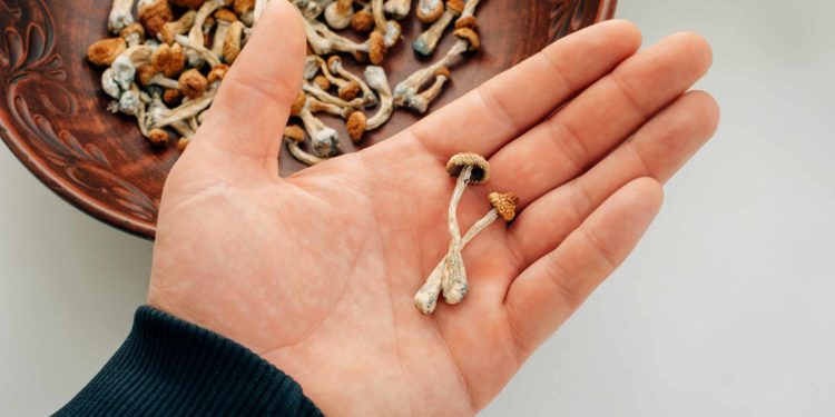 Australia Becomes First Country to Authorize Psilocybin, MDMA Therapy