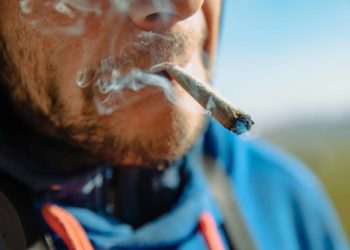 Canadian Study Examines Potency, Duration of Joints