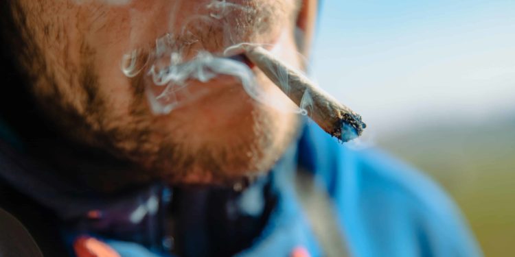 Canadian Study Examines Potency, Duration of Joints