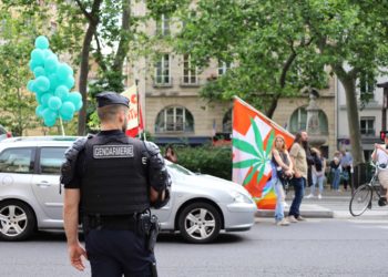 Cannabeginners: How to Legally Use Cannabis in France