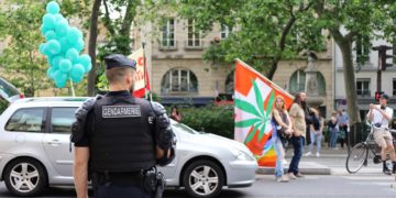 Cannabeginners: How to Legally Use Cannabis in France