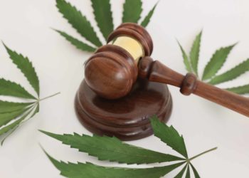 Florida Advocacy Group Files Brief Against Attorney General for Challenging 2024 Ballot Initiative