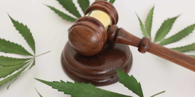 Florida Advocacy Group Files Brief Against Attorney General for Challenging 2024 Ballot Initiative