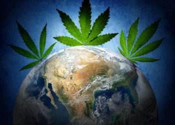 NASA Employee Used COVID Small Business Relief to Fund Illegal Pot Operation