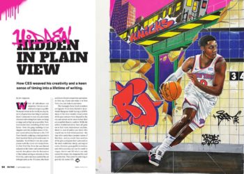 Hidden in Plain View