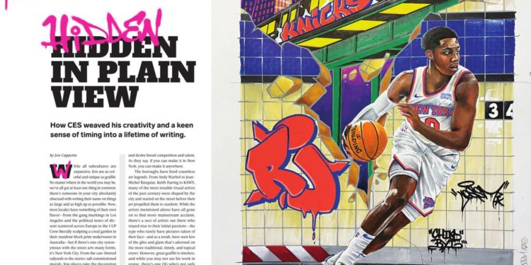 Hidden in Plain View