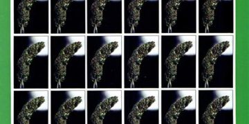 From the Archives: Camus (1983)