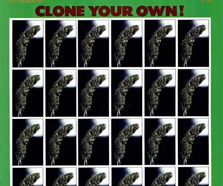 From the Archives: Camus (1983)