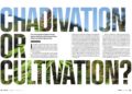 Chadivation or Cultivation?