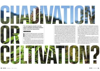 Chadivation or Cultivation?