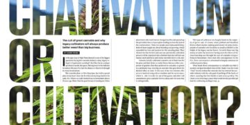 Chadivation or Cultivation?