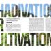 Chadivation or Cultivation?