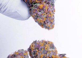 Jon’s Stone-Cold Cop List #41: A Stable & Grounded Collection of Heat