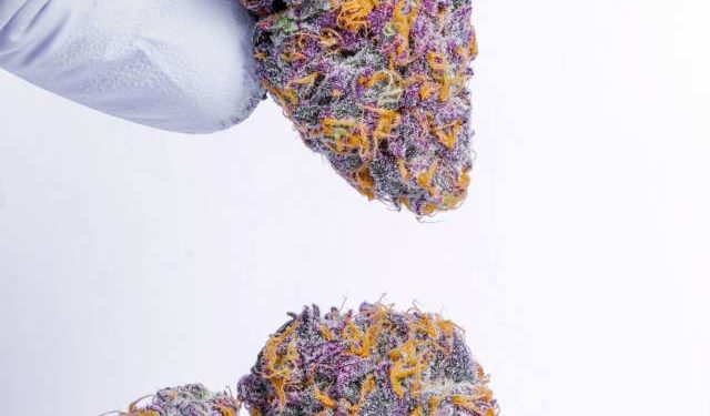 Jon’s Stone-Cold Cop List #41: A Stable & Grounded Collection of Heat