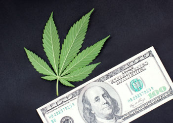 Michigan Cannabis Sales Hit Record High, Profits Another Story