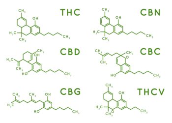 How Many Hemp-Derived Cannabinoids Does It Take To Screw in a Lightbulb?