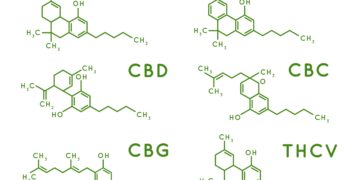 How Many Hemp-Derived Cannabinoids Does It Take To Screw in a Lightbulb?