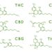How Many Hemp-Derived Cannabinoids Does It Take To Screw in a Lightbulb?