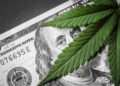 Illinois Cannabis Among Most Expensive Weed in America