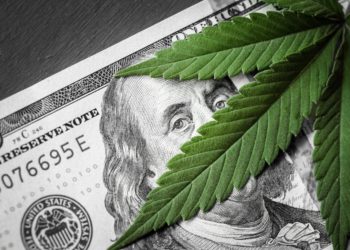 Illinois Cannabis Among Most Expensive Weed in America