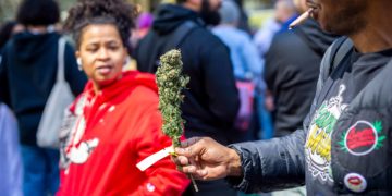 Unlicensed Cannabis Events Prompt Crackdown by City of Denver
