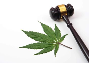 New York Supreme Court Judge Lifts Injunction for Small Number of Cannabis Licenses